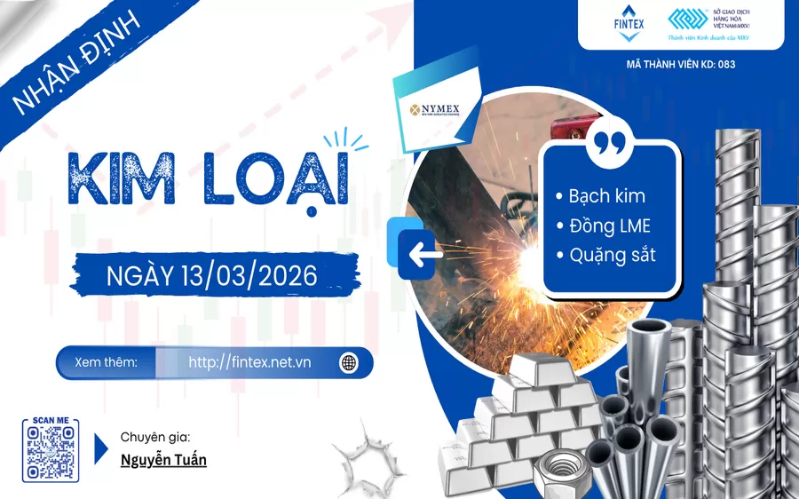 NHẬN ĐỊNH THỊ TRƯỜNG KIM LOẠI NGÀY 13/03/2026